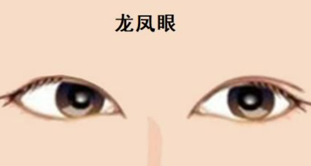 龙睛凤颈的有什么特征
