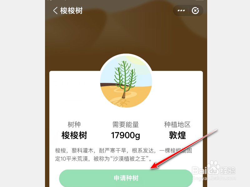 支付宝APP怎么种树