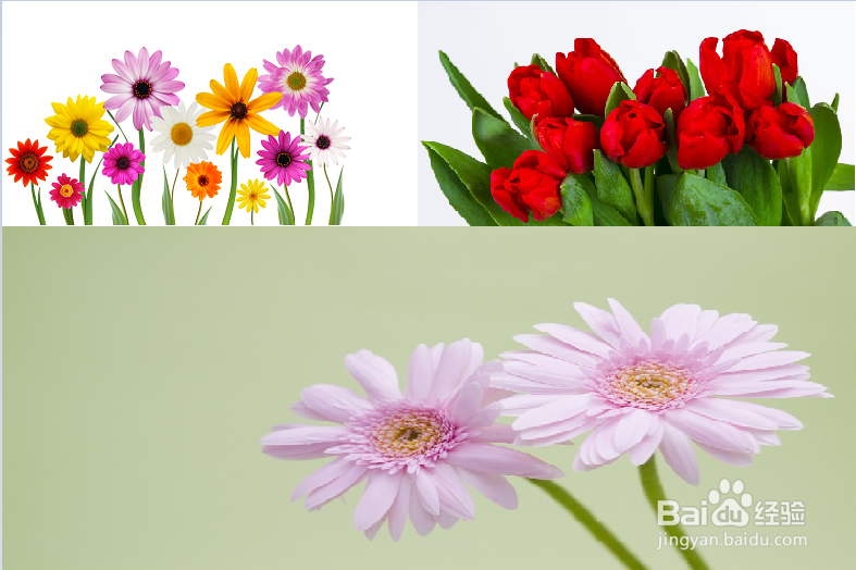 如何将多张图片组合成一张图片\不需要下载软件