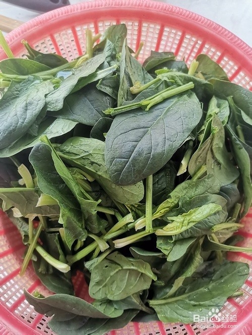 菠菜炖双耳的做法