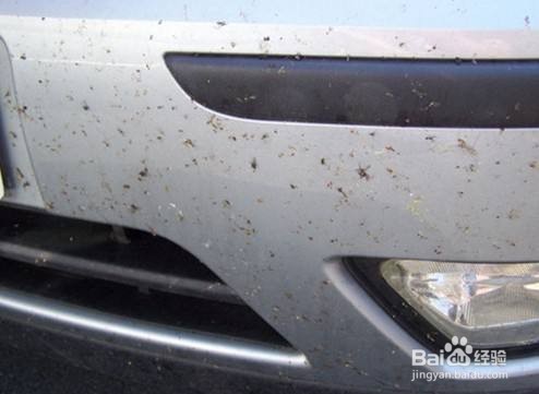 汽车表面斑点怎么处理