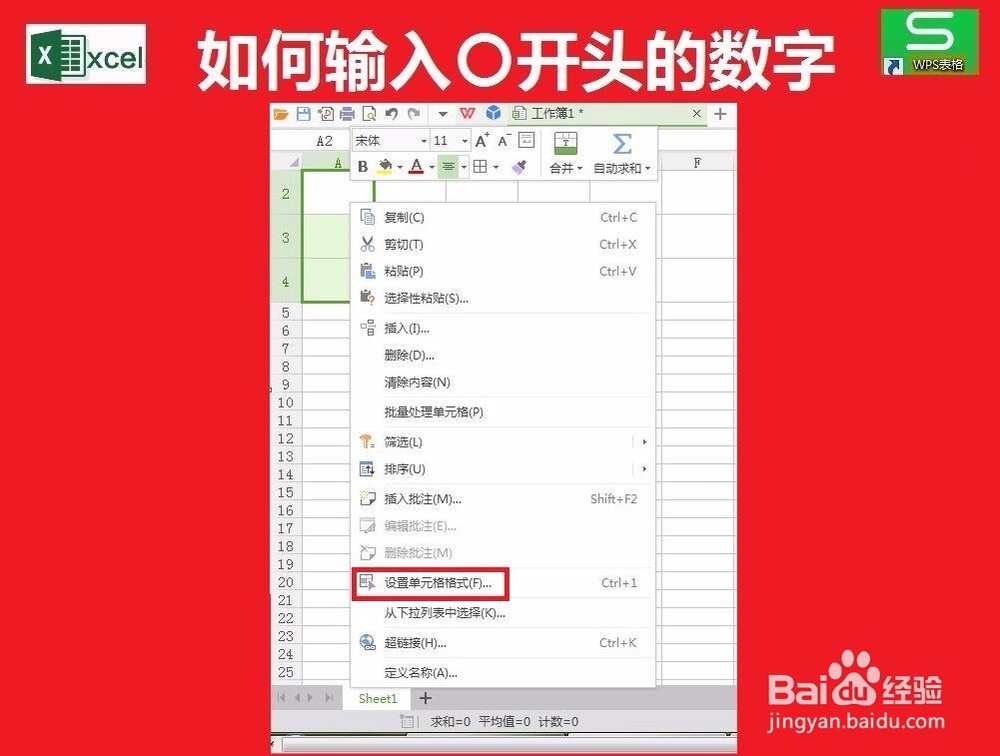 单元格中怎么输入0开头的数字?