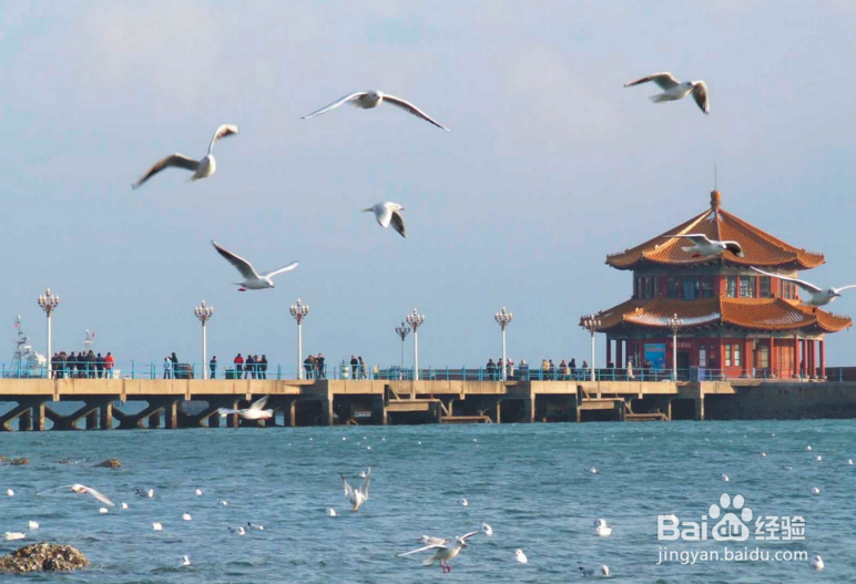 国庆青岛旅游攻略