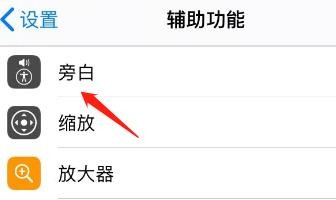 iPhone的旁白怎么设置添加新语言