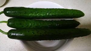 养生食补清香可口腌黄瓜的做法