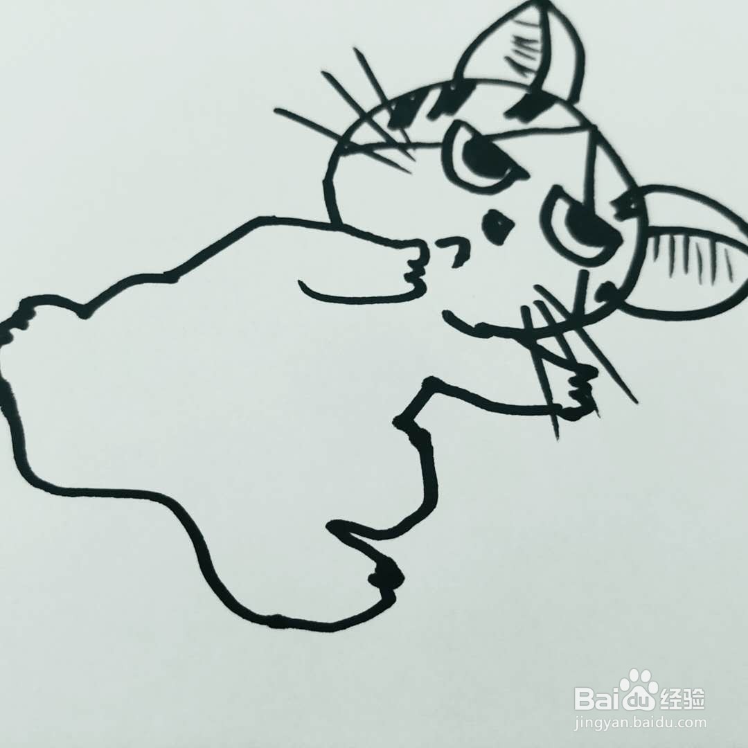 怎么画一只温柔的卡通猫咪简笔画呢