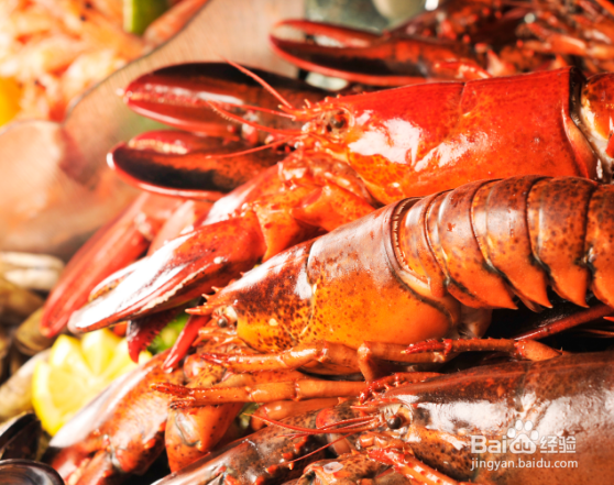 丰富的海鲜饮食可能会增加你的怀孕的机会