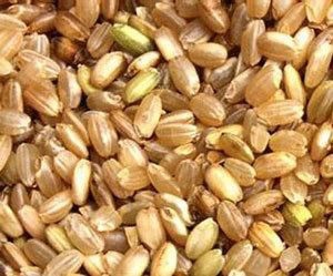 米饭里加点料，美味又抗病