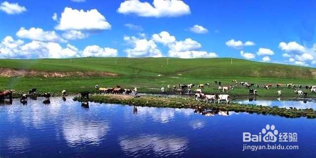 去呼伦贝尔旅游攻略