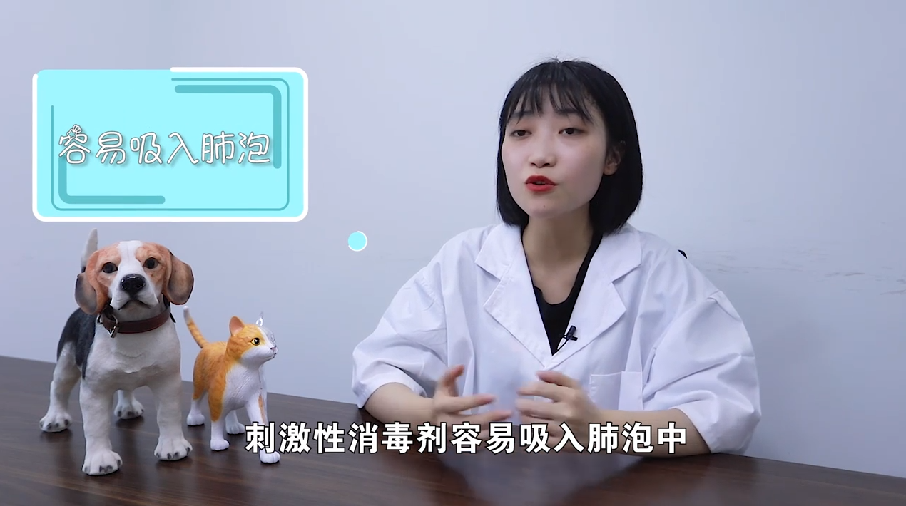 超市里的消毒水对宠物有害吗