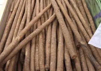 牛蒡的作用及食用禁忌