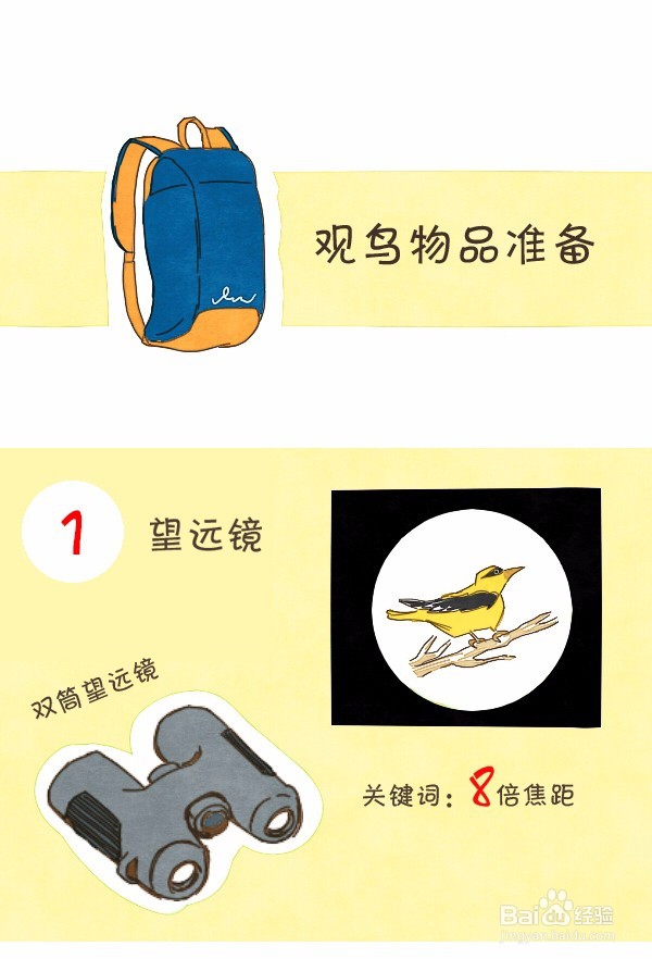 观鸟装备及注意事项