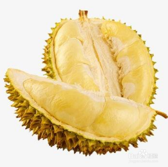 怎么挑选优质榴莲