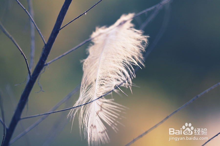 春暖花开如何有效预防过敏性鼻炎？