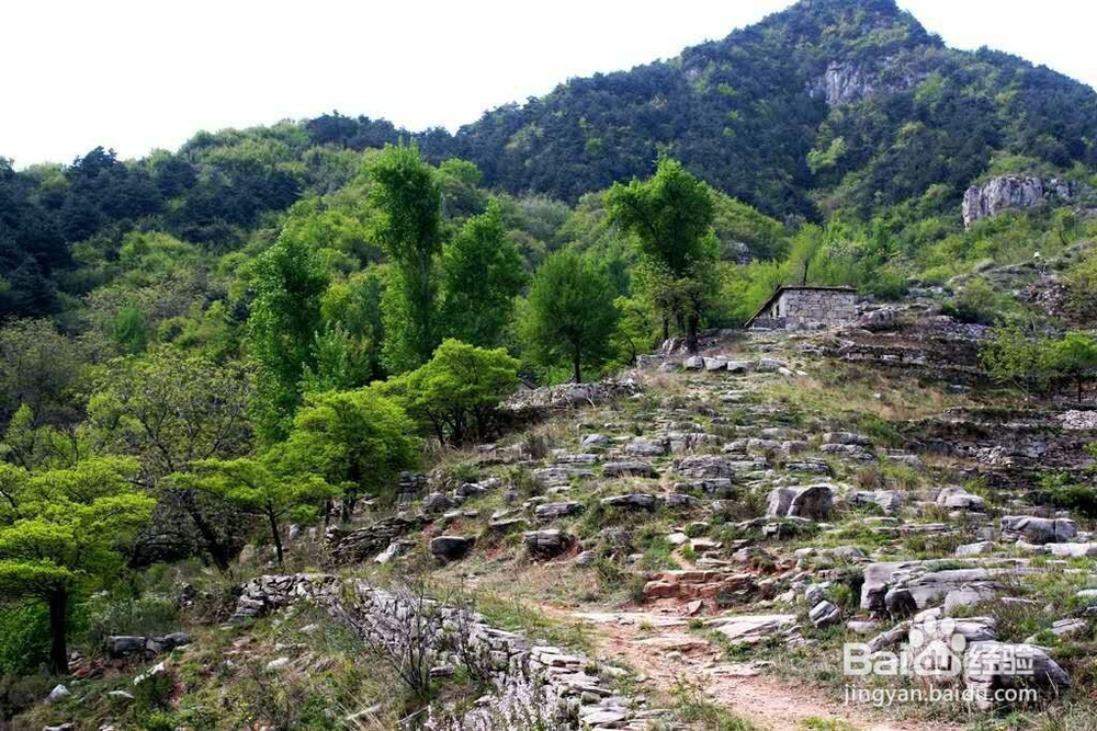 南太行驴行两日游