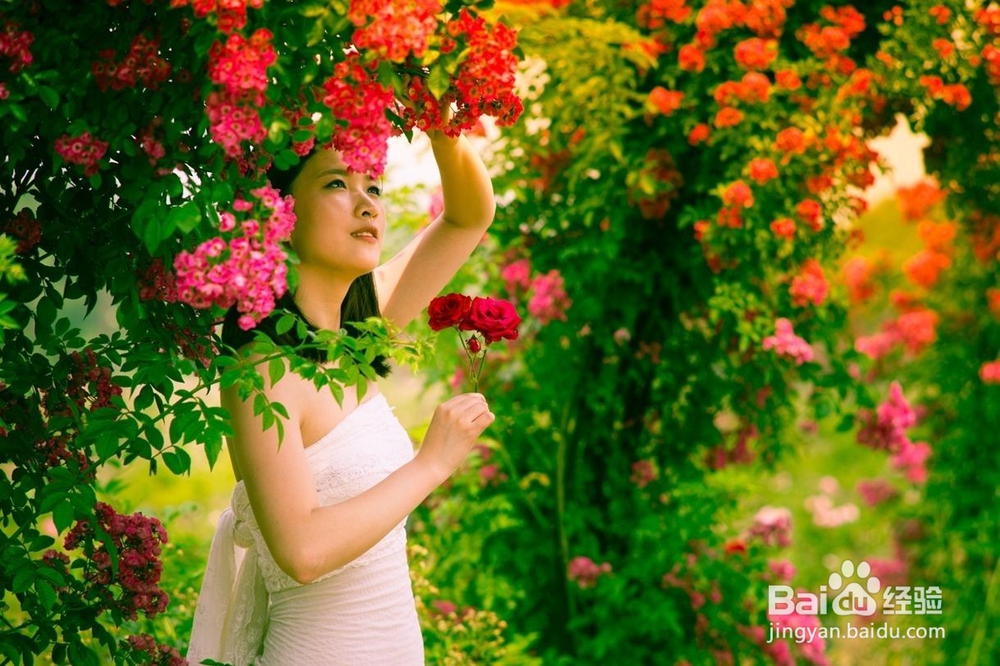 如何与婆婆和平共处