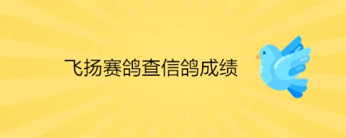 飞扬赛鸽查信鸽成绩