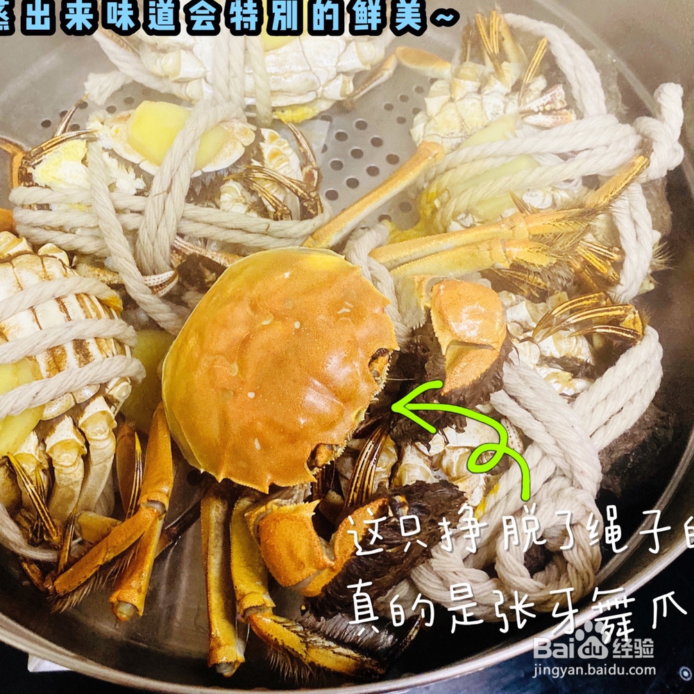 不费事做清蒸大闸蟹