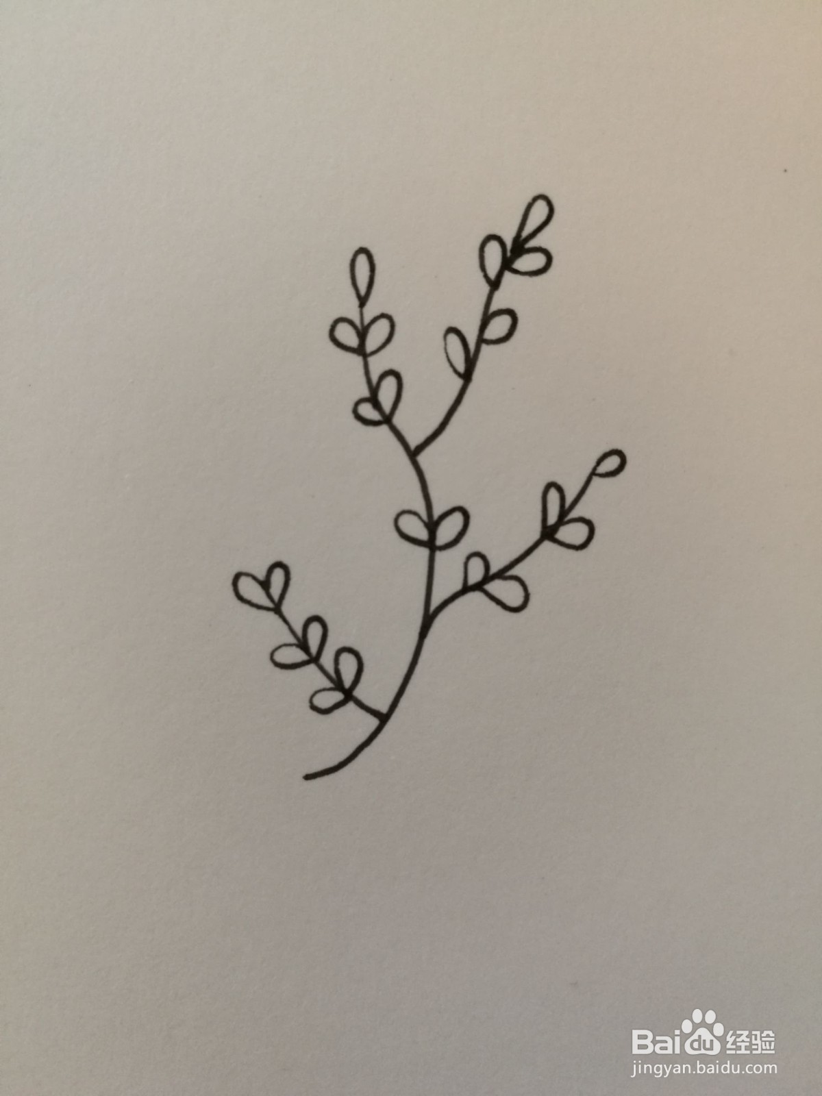 小草简笔画之画法六