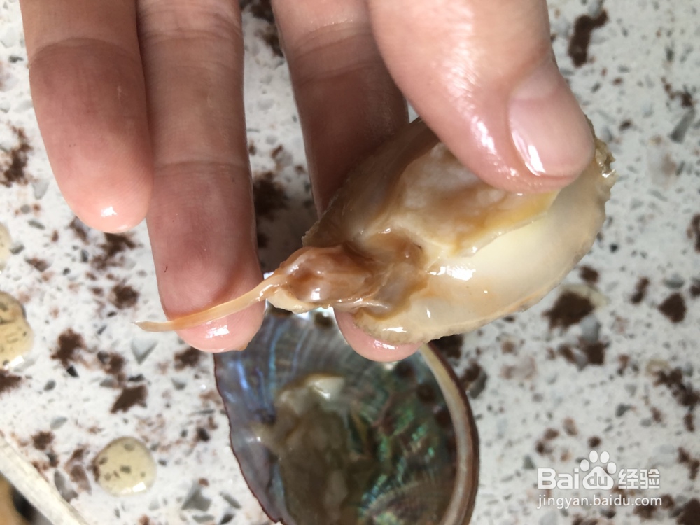 我给姐姐做鲍鱼