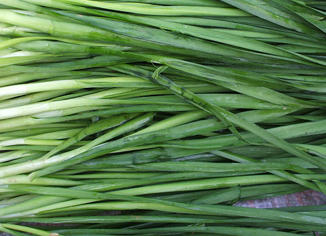 早泻该吃哪些食物?