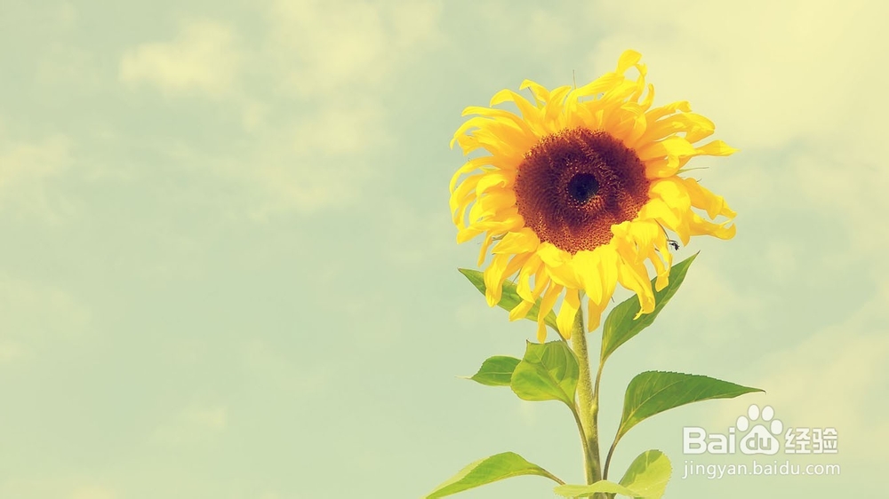 增强你的谈话魅力