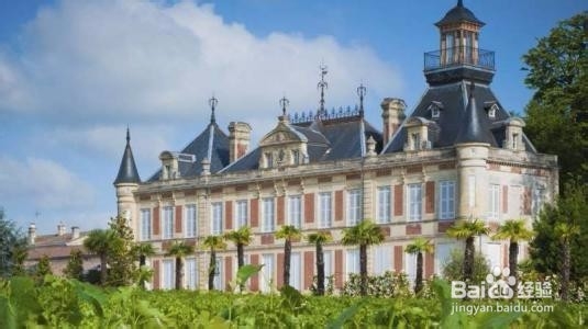 适合入门的葡萄酒指南