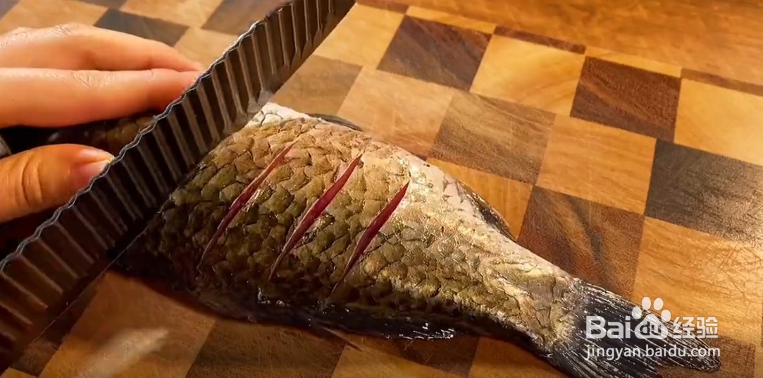 如何将鲫鱼汤做的又白又美味