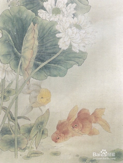 教画工笔荷花与金鱼