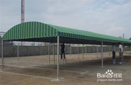 云南三七价格,近期行情怎么样点击查看