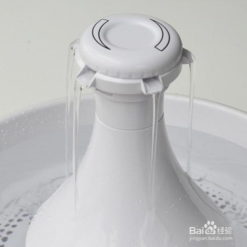 美短一直不停上厕所是为什么