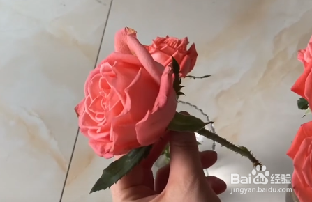 鲜花蔫了怎么快速急救