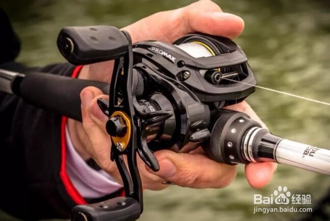 新手购买路亚水滴轮有什么注意事项？