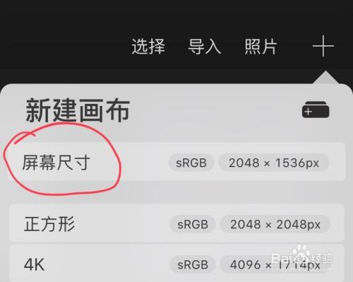 1,打开procreate软件,创建屏幕尺寸.