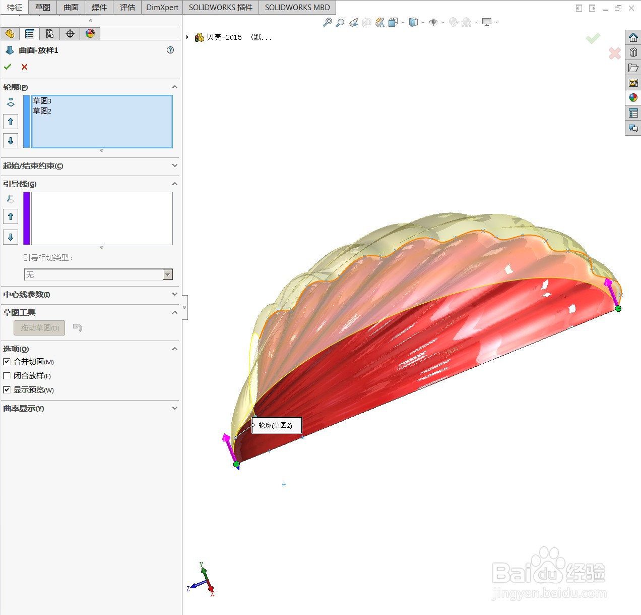 用SolidWorks绘制一个贝壳