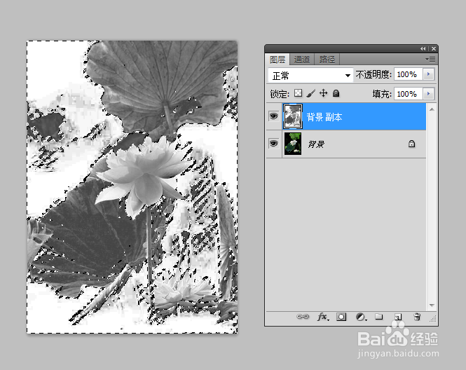 如何利用Photoshop制作水墨荷花