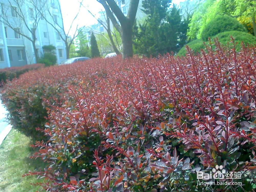 牙齿怎样保护才能吃饭香