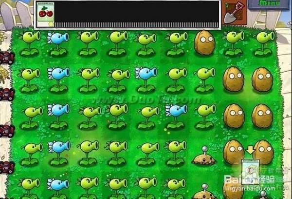 《植物大战僵尸》第一大关详细流程攻略