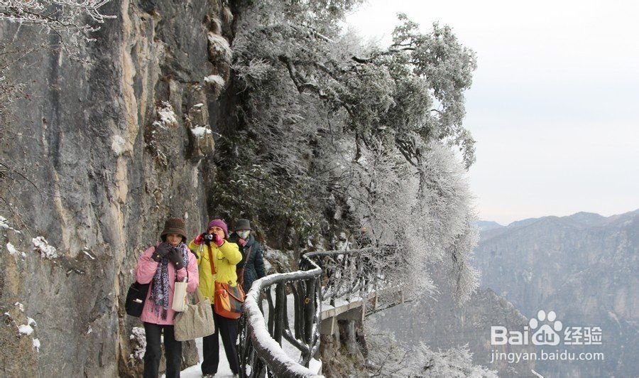 重庆到张家界自驾游攻略