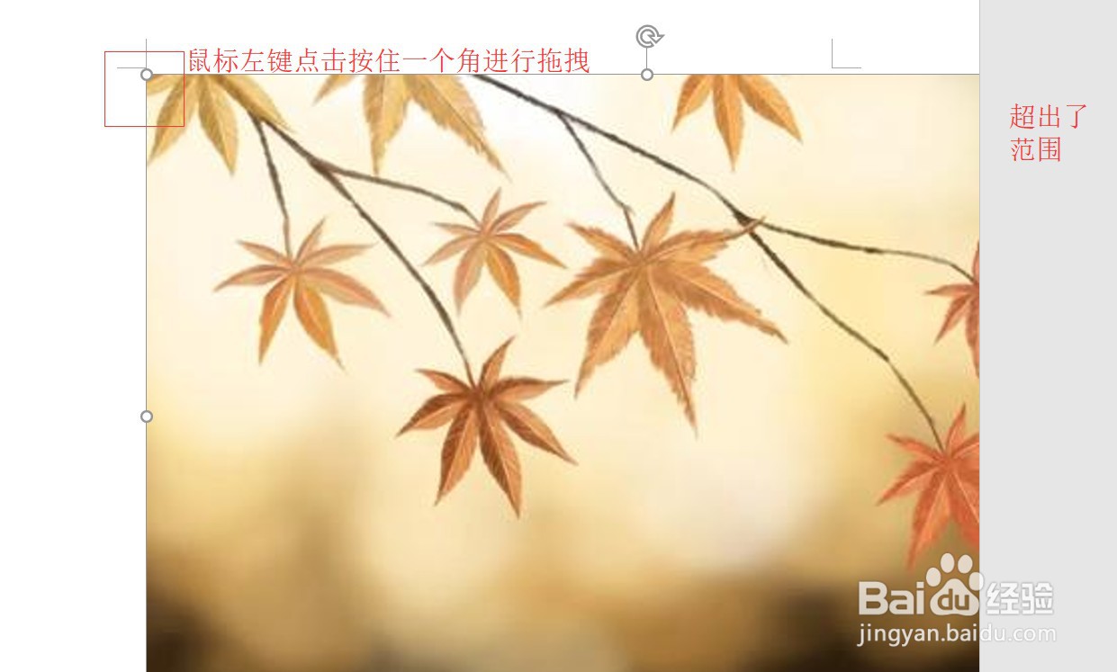 复制粘贴照片到文档