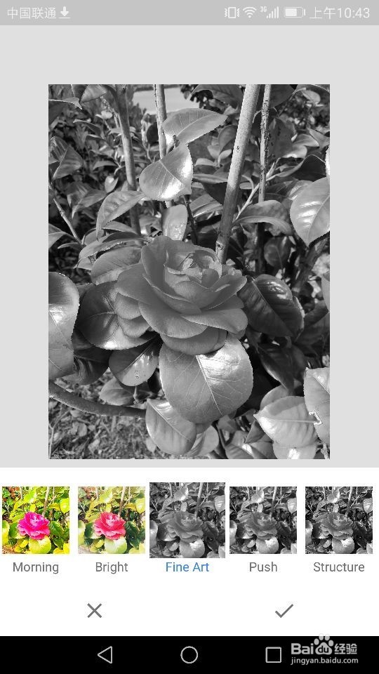 Snapseed软件如何进行照片样式的选择