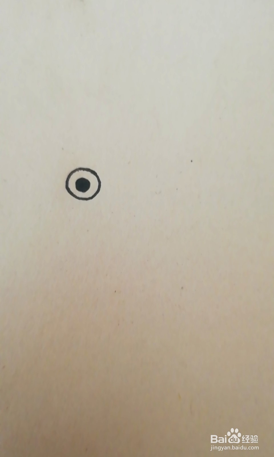 简笔画-爬行的小乌龟怎么画