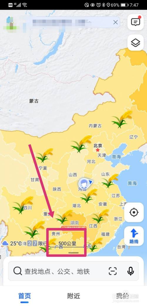 高德地图怎么显示出水稻