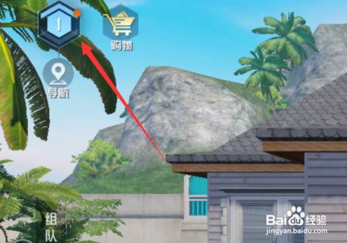 和平精英家园代码如何用