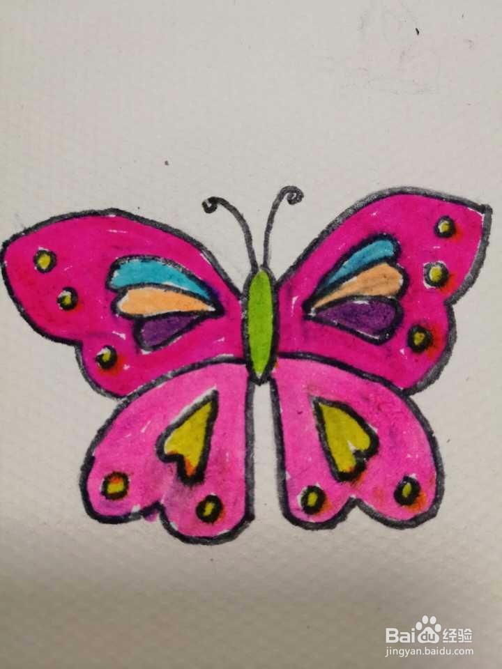 简笔画彩色的蝴蝶怎么画