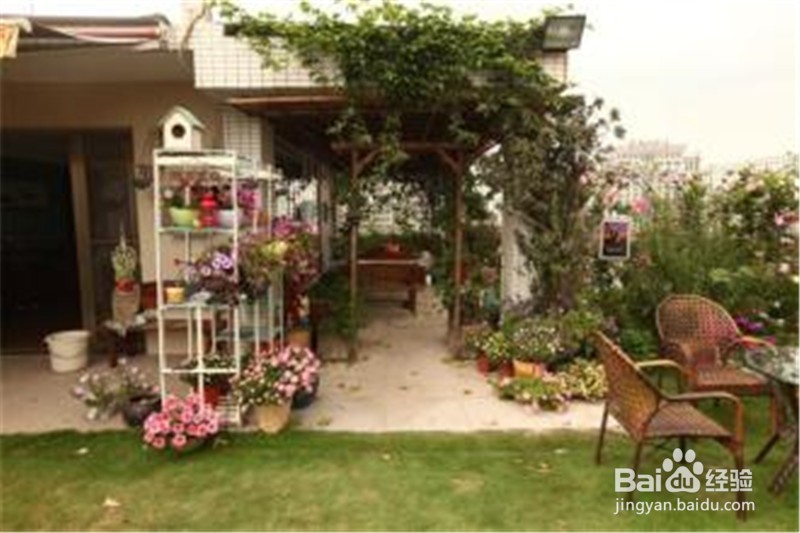 如何给盆花松土？