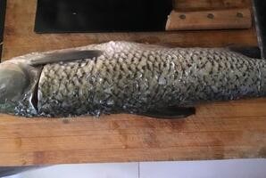 草鱼火锅的做法 ！