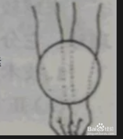 如何有效的练习排球？