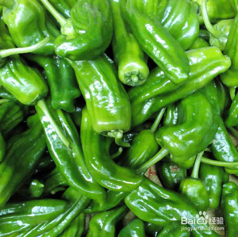 夏日必吃的“一道凉菜”做法？