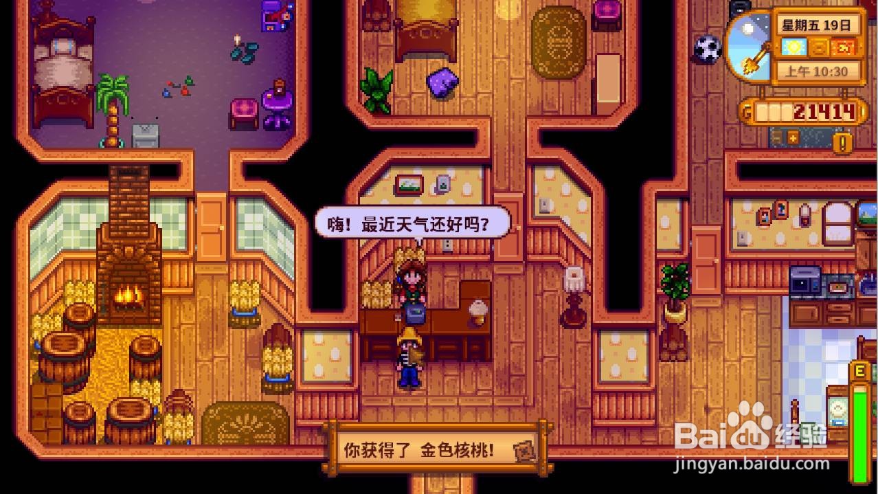 《星露谷物语》金核桃代码是什么